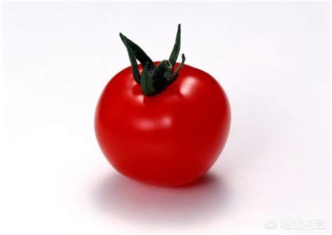 西红柿壮阳吗，多吃西红柿对男性健康有什么作用