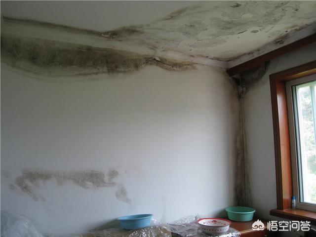 身体越住越差的房子,房子隔音太差是一种什么体验？