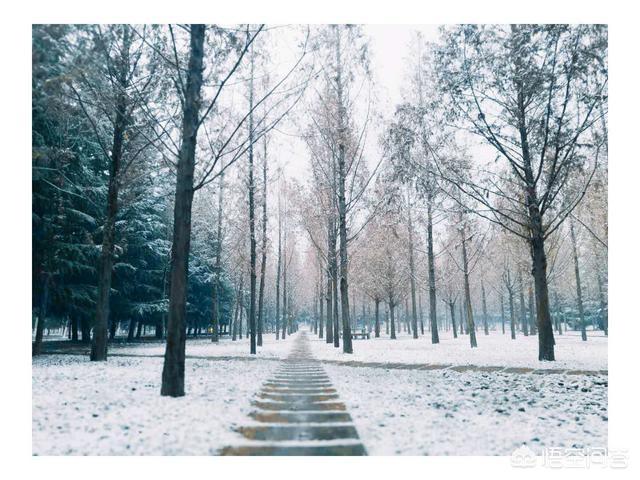 有人说柳宗元的《江雪》极尽凄凉,你怎么看？应该如何赏析？