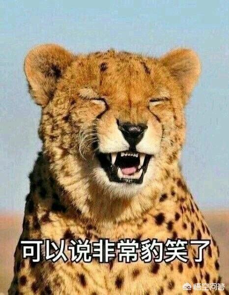 <a href=https://maguai.com/list/39-0-0.html target=_blank class=infotextkey><a href=https://maguai.com/list/39-0-0.html target=_blank class=infotextkey>搞笑</a></a>微信聊天段子图片:你有什么笑死人的图片或者聊天？