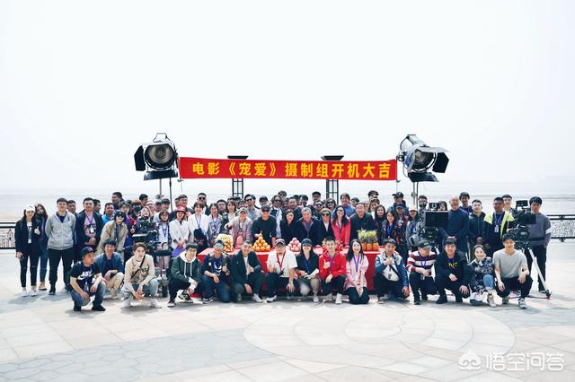 幕后玩家结局:《鼠胆英雄》网评两极分化，对此你怎么看