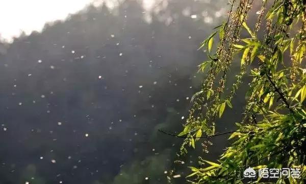 真菌过敏症的预防:真菌过敏症用药 当春季撞上呼吸道过敏，过敏体质人群如何预防？