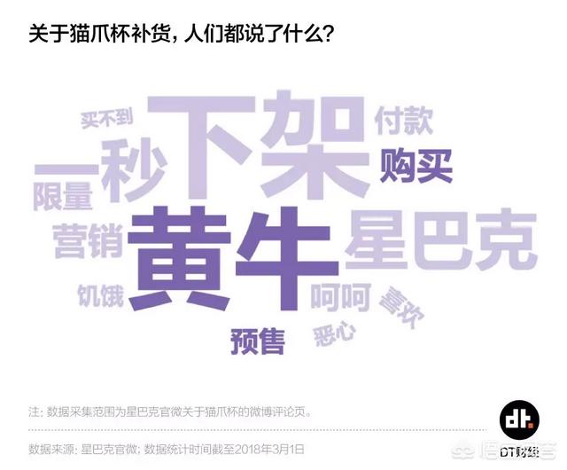 茶杯猫的价格2020年新款:2020虎斑猫多少钱一只？