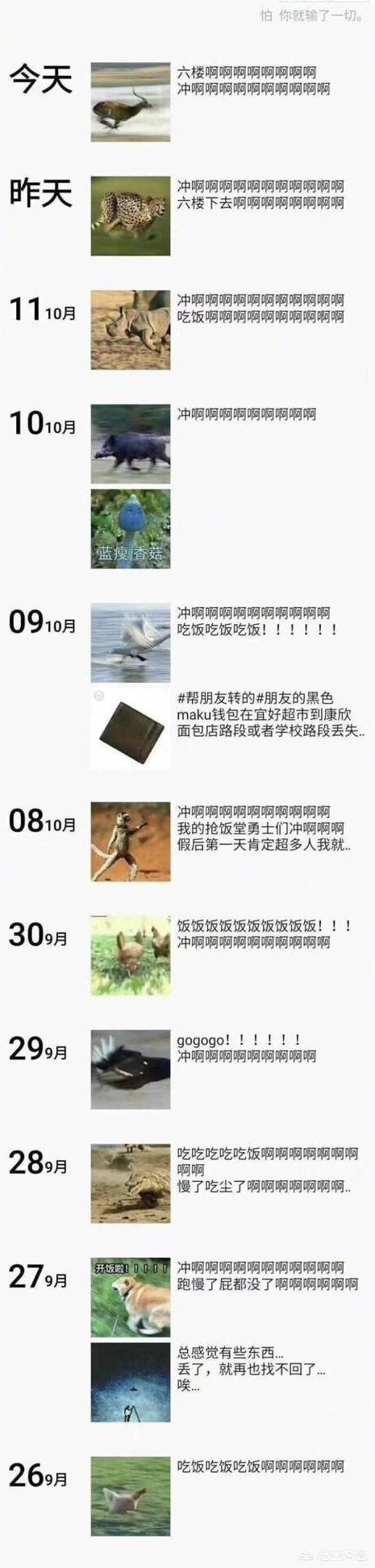 适合<a href=https://maguai.com/list/39-0-0.html target=_blank class=infotextkey><a href=https://maguai.com/list/39-0-0.html target=_blank class=infotextkey>搞笑</a></a>发<a href=https://maguai.com/list/256-0-0.html target=_blank class=infotextkey><a href=https://maguai.com/list/256-0-0.html target=_blank class=infotextkey>朋友圈</a></a>短句:那些年你发过的最<a href=https://maguai.com/list/39-0-0.html target=_blank class=infotextkey><a href=https://maguai.com/list/39-0-0.html target=_blank class=infotextkey>搞笑</a></a><a href=https://maguai.com/list/256-0-0.html target=_blank class=infotextkey><a href=https://maguai.com/list/256-0-0.html target=_blank class=infotextkey>朋友圈</a></a>是什么？(关于好朋友的<a href=https://maguai.com/list/39-0-0.html target=_blank class=infotextkey><a href=https://maguai.com/list/39-0-0.html target=_blank class=infotextkey>搞笑</a></a><a href=https://maguai.com/list/256-0-0.html target=_blank class=infotextkey><a href=https://maguai.com/list/256-0-0.html target=_blank class=infotextkey>朋友圈</a></a>)