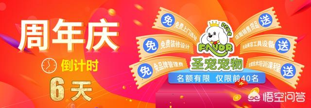 2017年开宠物店赚钱吗:在西安开宠物店到底怎么样？