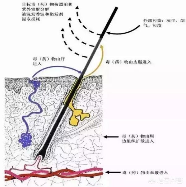 朴有天:如何看待朴有天毒品检测呈阳性被证实吸毒