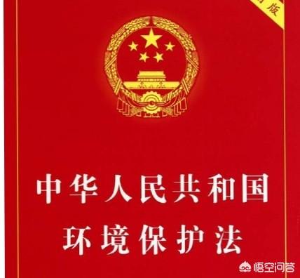 农村养殖创业，想回农村创业，养殖什么好