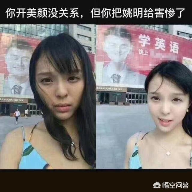 搞笑狗狗图片表情图片:你有哪些关于猫狗的表情包？