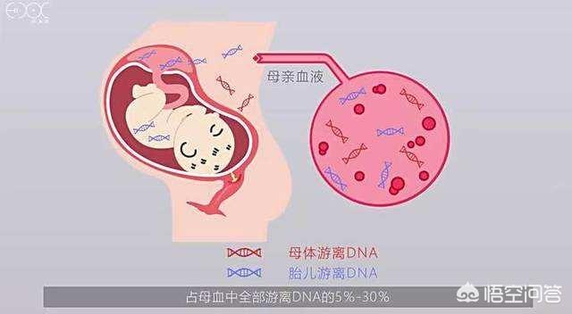 怀孕几个月能看出来畸形:胎儿几个月可以检查出畸形 怀孕多久后容易出现胎儿畸形？孕妈该如何预防？