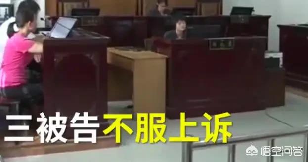 藏獒咬死女童gif:男童被狗咬身亡获赔78万，给了我们什么启示？