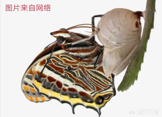 我是一名初三学生,马上中考,但成绩怎么也上不去,大家可以给点建议吗？