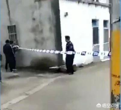 打死孩子:嫌孩子吃饭慢，母亲用铁棍打死孩子，父亲不敢阻拦，你怎么看