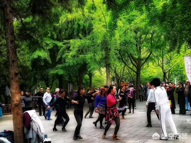 忆宠物摄影地址:给小哈士奇拍照的技巧是什么？