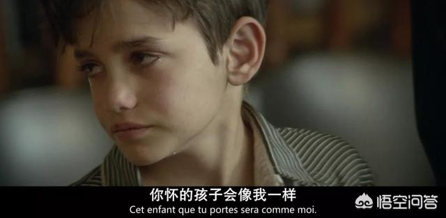 小狗被染成皮卡丘走红:《何以为家》上座率超《复联4》，黎巴嫩小片为何在中国走红？
