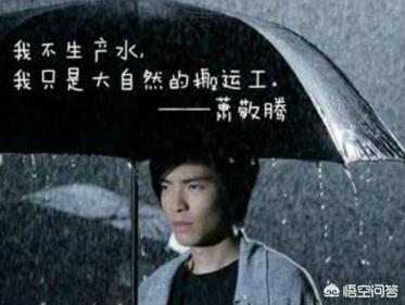 娱乐圈灵异事件:娱乐圈哪位艺人给你“昙花一现”的感觉