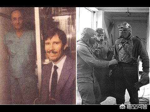 爱尔兰雪达犬价格图片:《警花与警犬》那些狗狗是什么种类啊?有卖吗?价格多少啊？