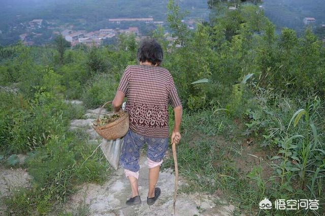 我把妈妈操得大喊大叫:我经常吼我妈，很后悔，怎么办？