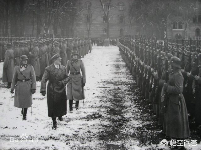 二战德国雪貂:二战德国战败完全是因为苏联的冬天吗？