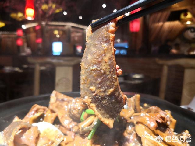 鮰鱼图片:鮰鱼图片的营养价值 武汉最有名的甲鱼馆是哪家？