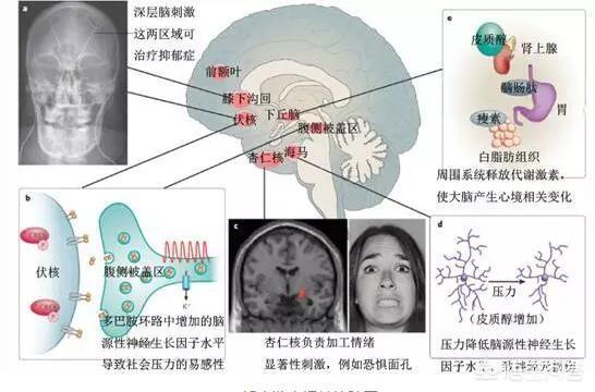 犬薇同人漫画:如何帮助有重度抑郁症的朋友？