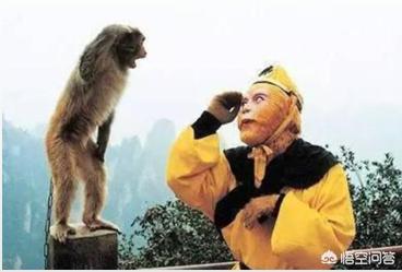 欢乐英雄西游记:《西游记》中的孙悟空明明是一只恶妖，为什么会被当成英雄？