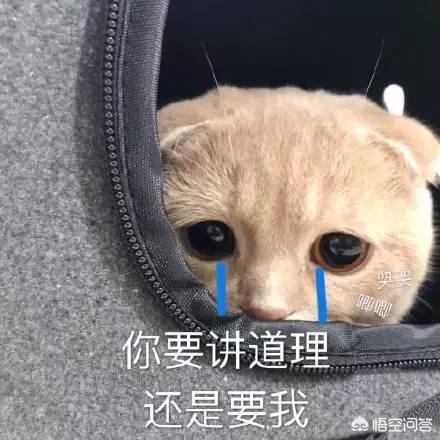 有哪些可以哄男朋友开心的表情包？