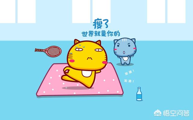 黄油猫悖论:哪种方法能快速减肥又不反弹呢