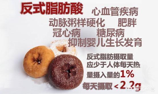 脂肪:人体脂肪也有好坏之分吗？