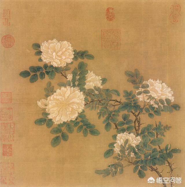 鸟人爱宅美女嘴唇:花鸟画的发展史是怎样的？