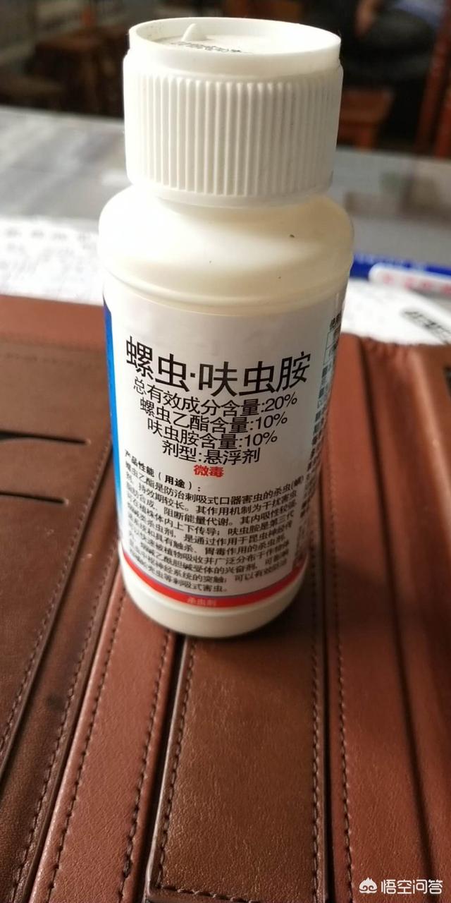 葡萄树的害虫有哪些:为什么今年葡萄上的蚧壳虫特别多？
