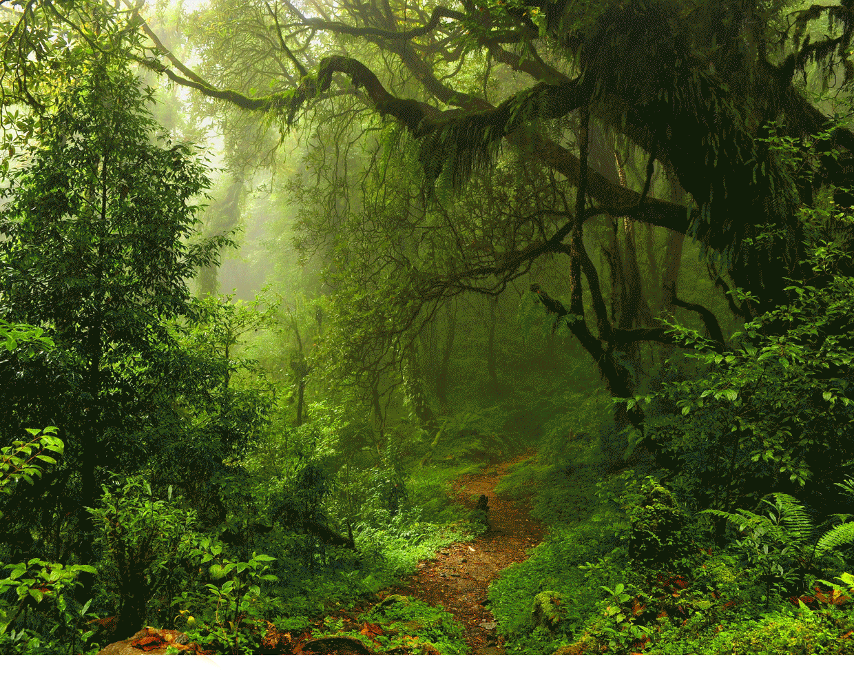 1240_987gif 动态图 动图