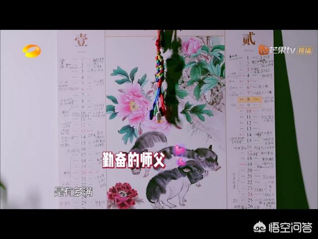 刘莉莉非你莫属:有哪些牛人参加的综艺节目