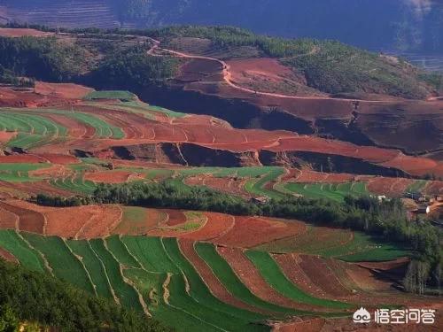 村委会有权收回村民承包的土地吗，农村承包地，村里可以随便收回吗