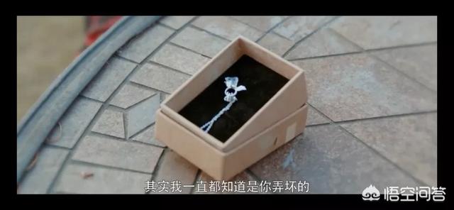 《橘生淮南》中，盛淮南为什么要把他前女友的雨衣拿给洛枳穿？:橘生淮南死局后章节 第2张