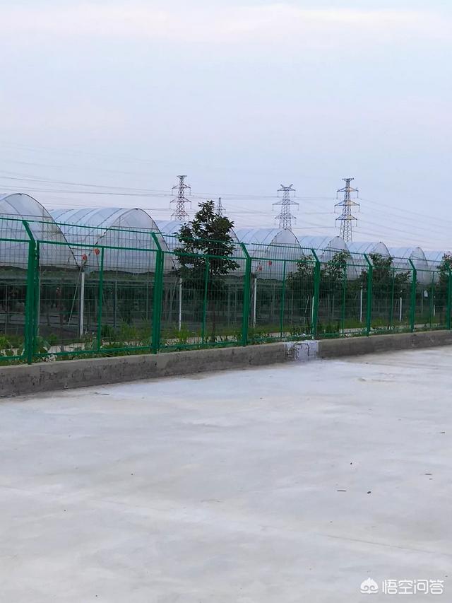 迷魂阵村:农村的地名，为啥大多都带“屯，湾，岭，冲，坡，坪