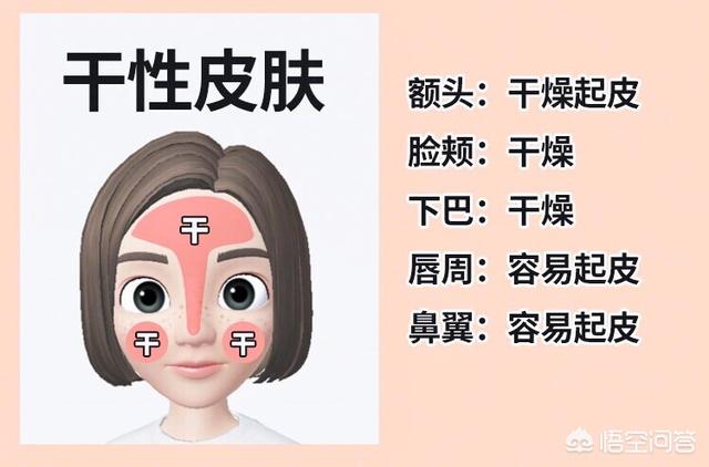 干性皮肤怎么保养(干性皮肤怎么保养才好)