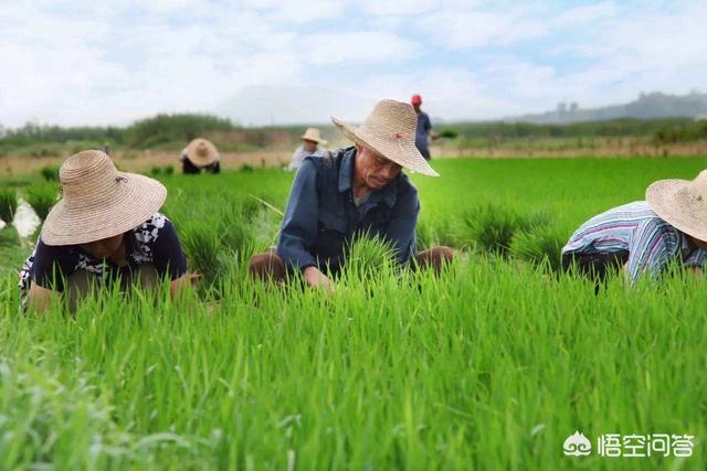 开心宠物之农场大亨破解版:你知道哪些轰动一时的悬案？