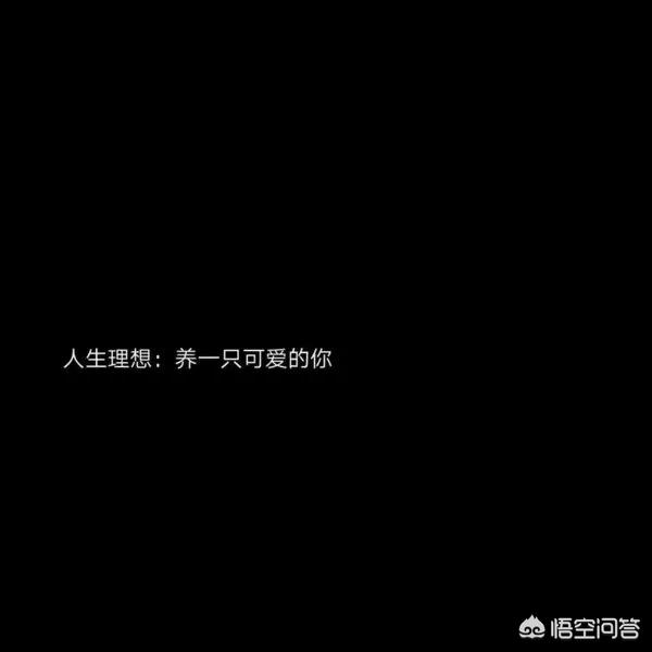 简单好听的微信说说:有哪些你认为很美的小短句？(很美很冷门的古诗句)