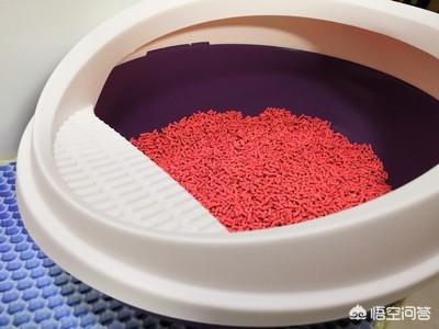 lovecat 植物猫砂:猫咪会用猫砂为什么还随地大小便？