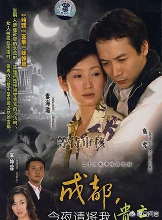 黄海波的母亲:演员王彤所有电视剧有哪些