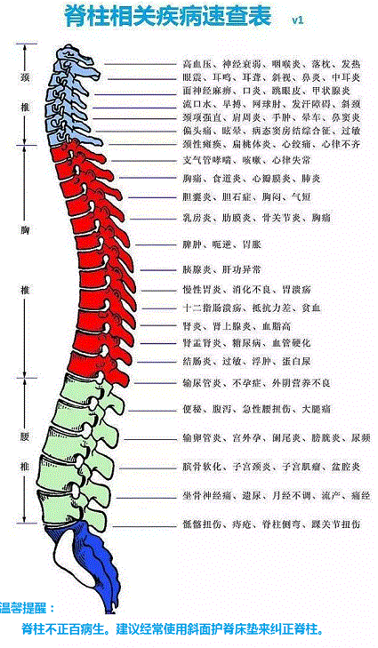 久坐族脊柱疾病高发，如何避免“脊”病缠身
