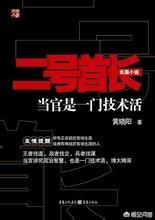 小桥老树:有没有那种，逻辑思维缜密适合听的官场小说啊？