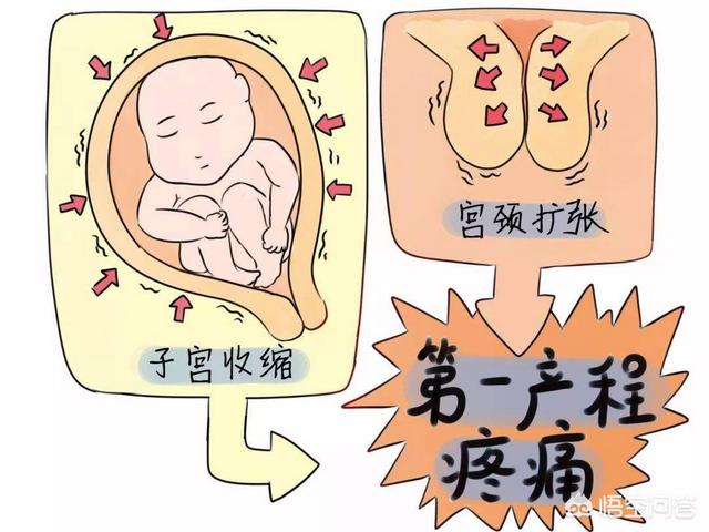 头条问答 怀孕38周肚子疼疼就停下了是正常吗 52个回答