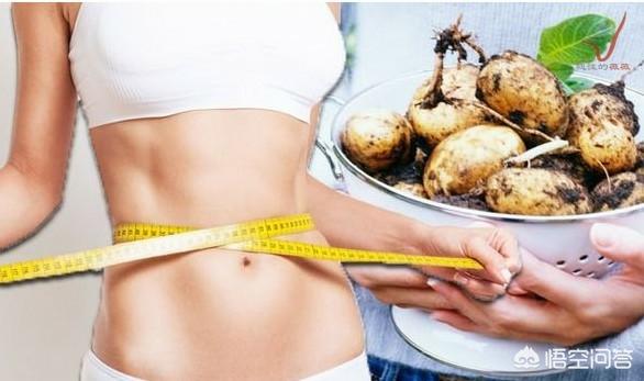 有哪些既能充饥、热量又低的食物？