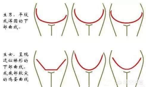 头条问答 - 前壁好生还是后壁好生?有哪些依据?(25个回答)