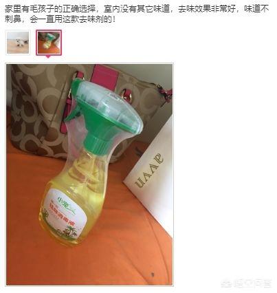 宠物除味剂可以直接喷在宠物身上么:猫尿沙发上怎么清洗，猫在沙发上尿怎么除臭呢？