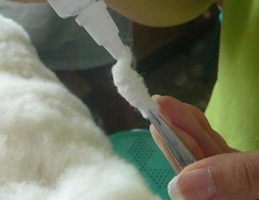 氯霉素滴耳液:氯霉素滴耳液什么功效 狗狗耳朵有异味怎么办？需要定时清理耳朵吗？