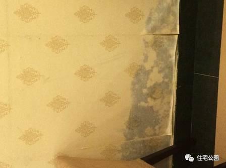 孕妇梦见戴红围脖是什么意思:装修贴壁纸好还是硅藻泥好？