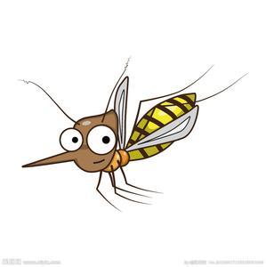 红耳鹎叫声引抓:为什么蚊子一直在耳边嗡嗡叫？