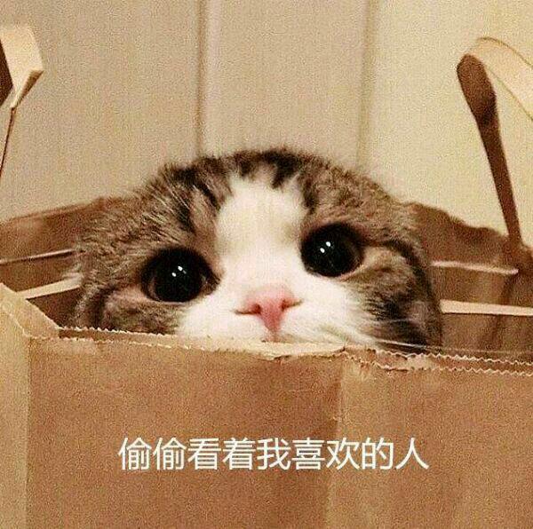 表白太着急，被拒绝了，有什么挽救的办法吗(表白被拒绝了还要继续追吗)